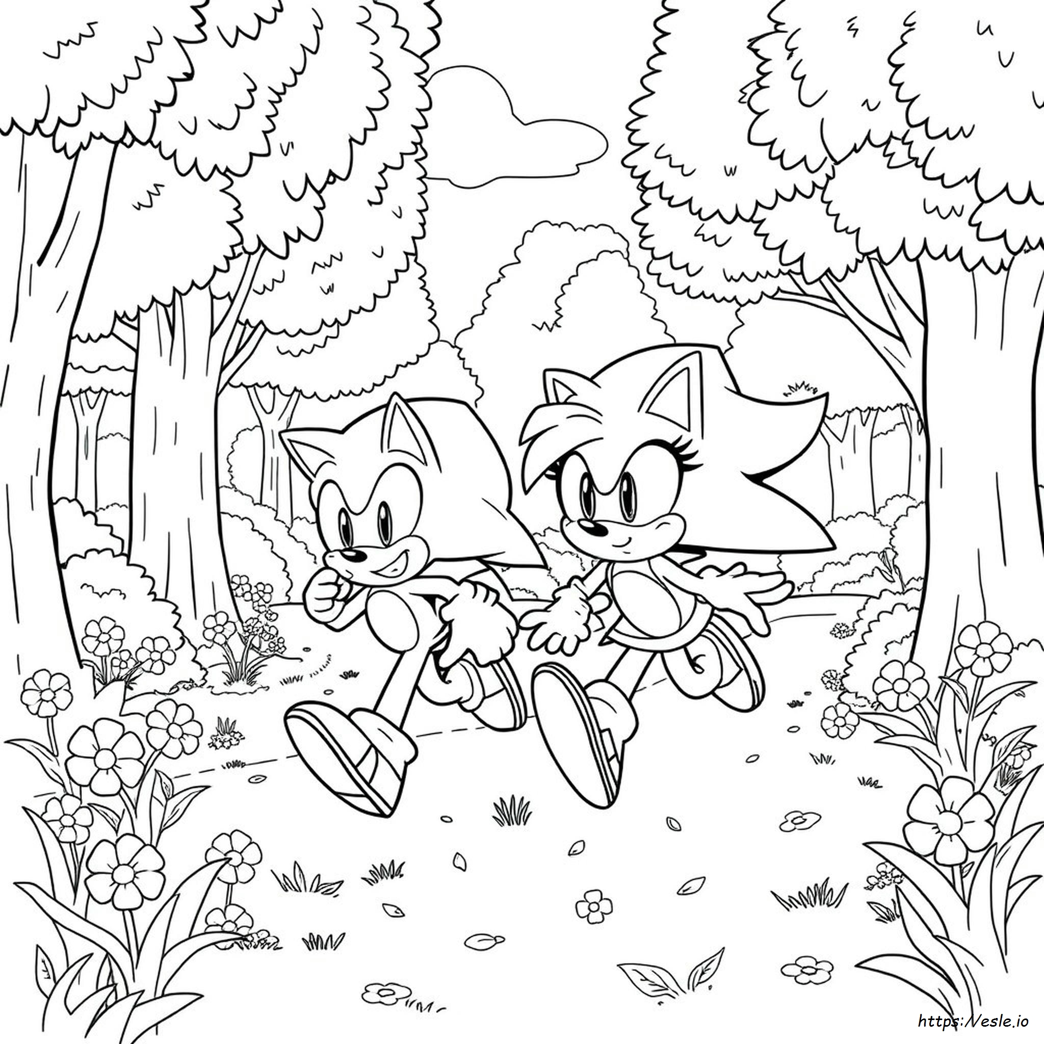 Sonic Dan Amy Halaman Mewarnai Dapat Dicetak