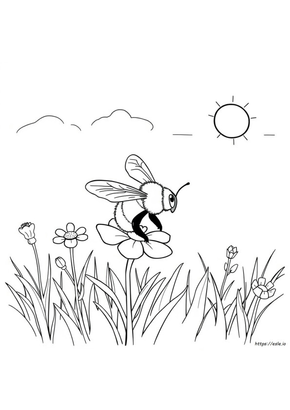 Bumblebee Boyama