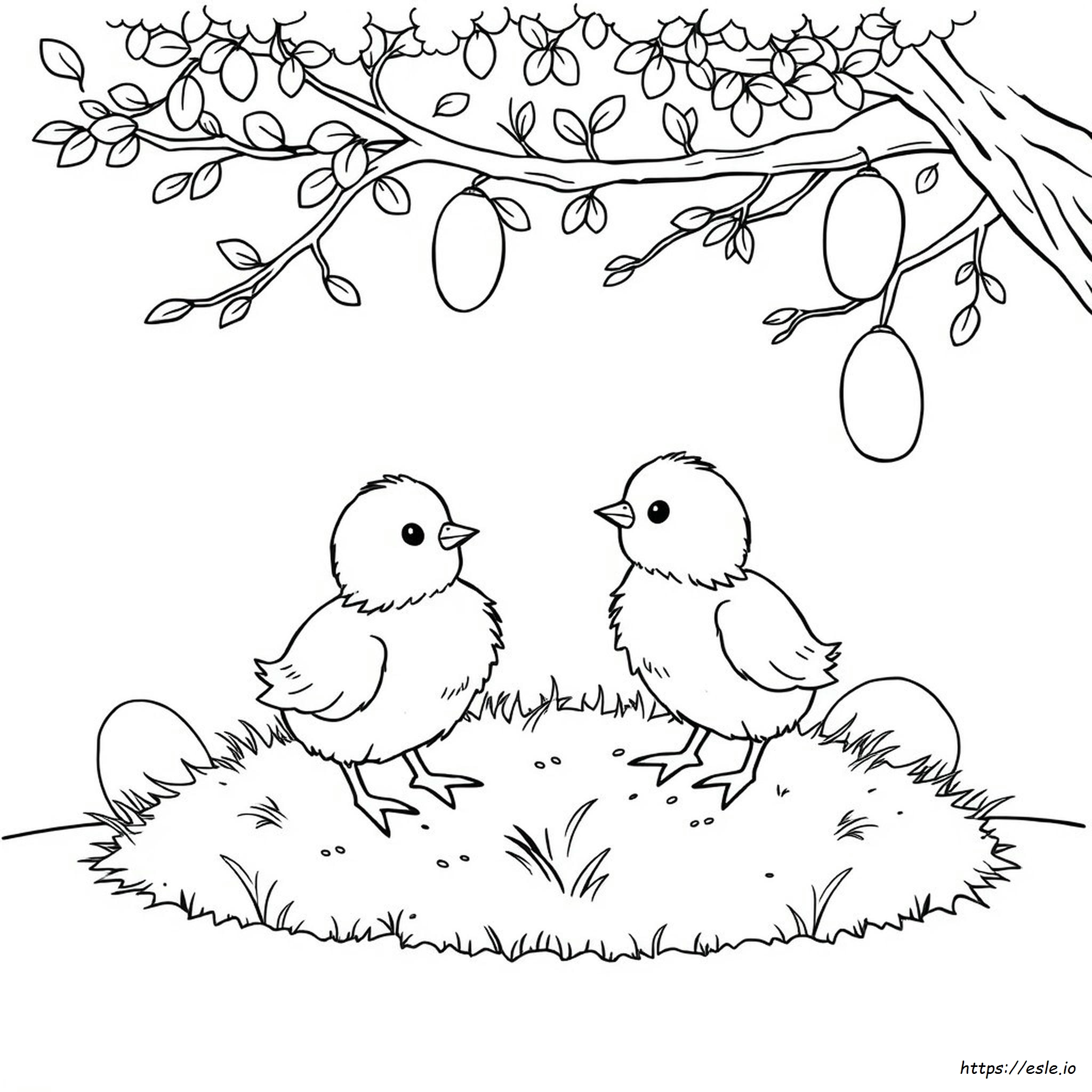 Coloring Pictures Of Chicks