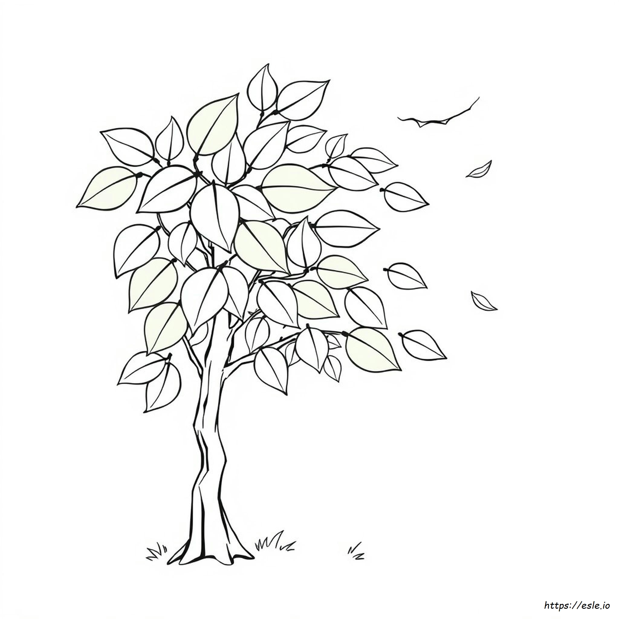 Coloring Pages For The Color Green