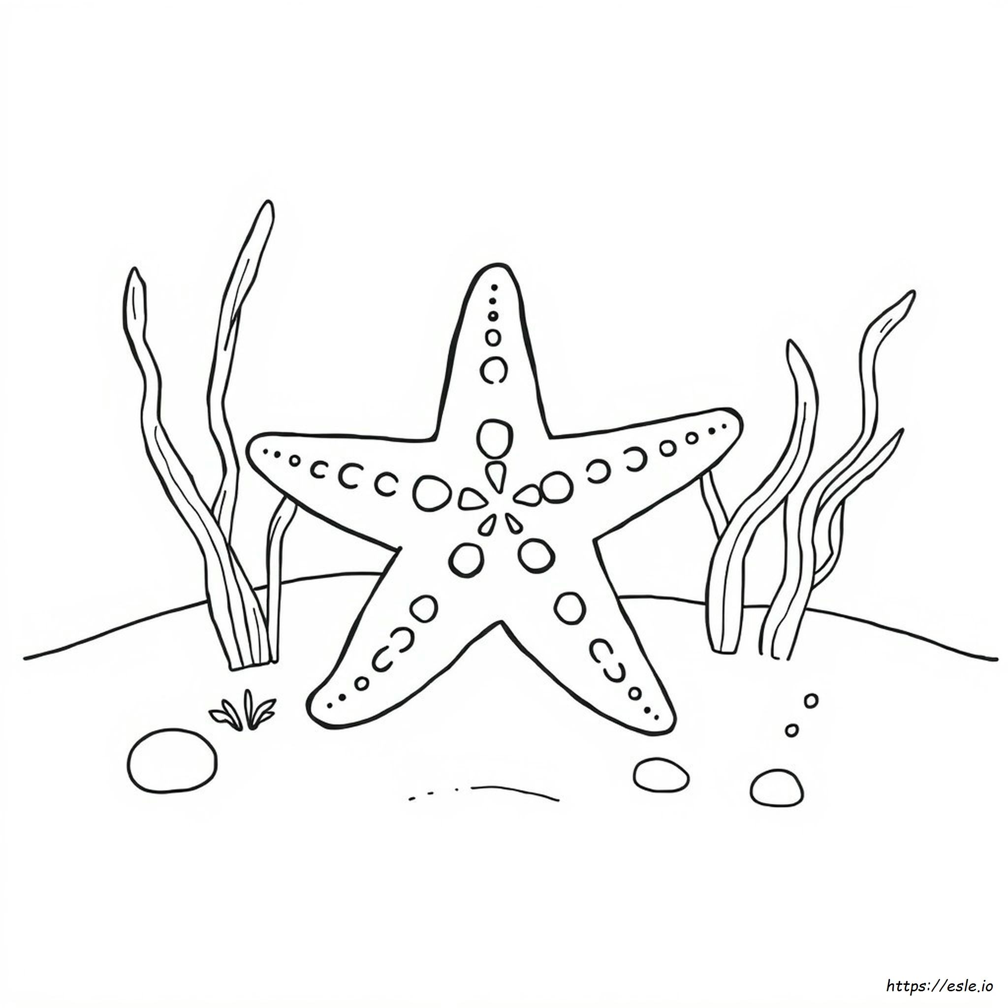 Coloring Page Of A Starfish