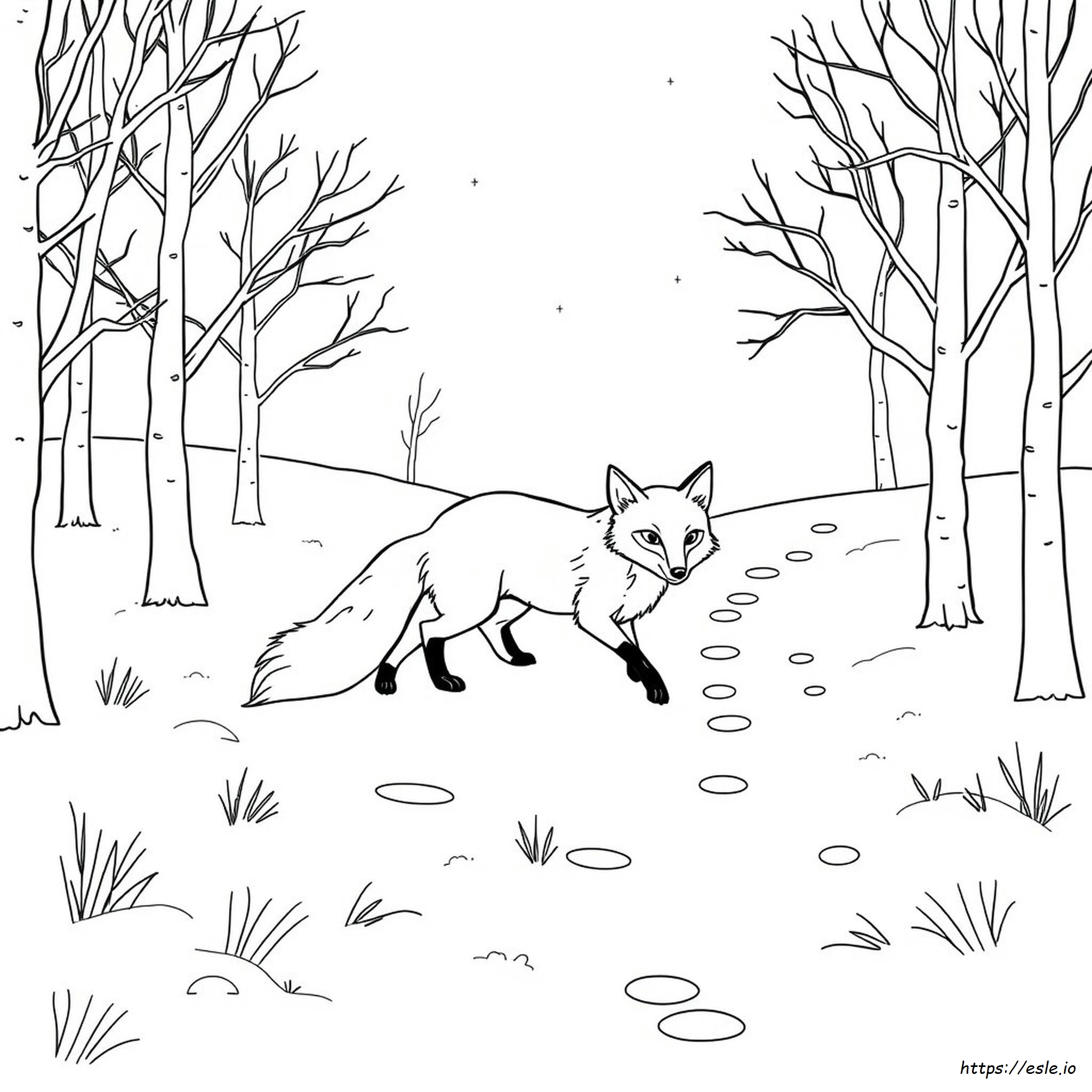 Colouring Page Of Fox
