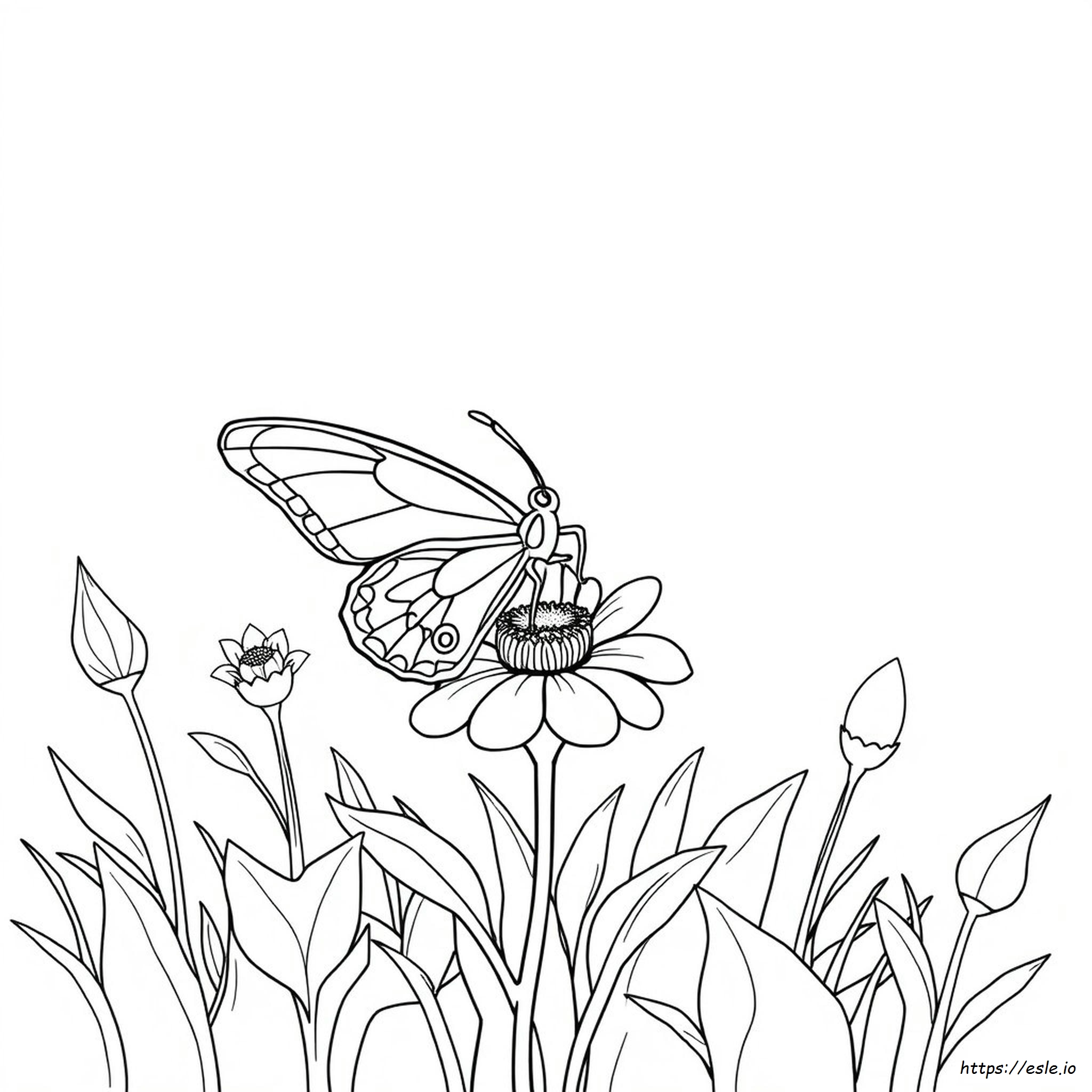 Coloring Pages Of Butterflies To Print