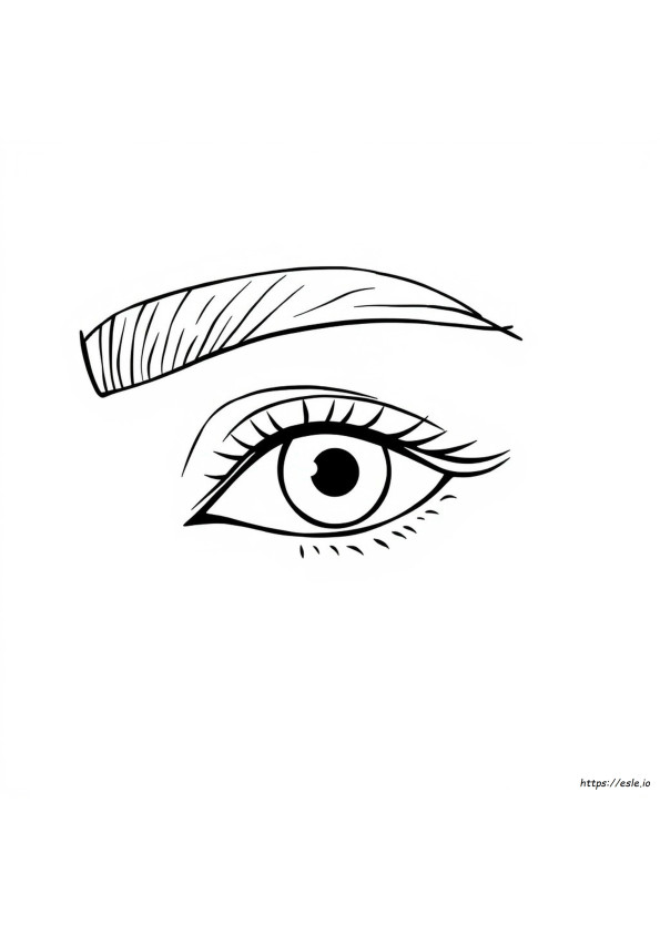 Human Eye Coloring Page Crayola Answers
