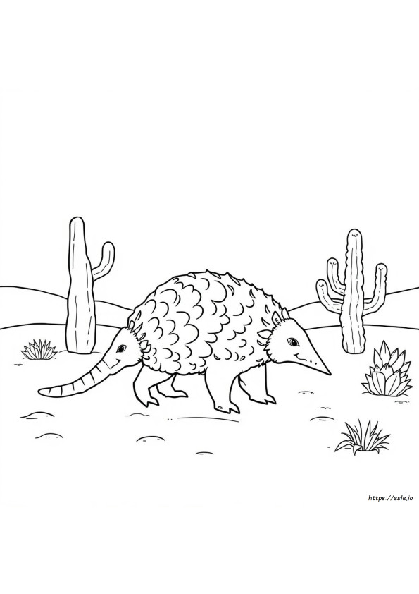 Coloriage Tatou