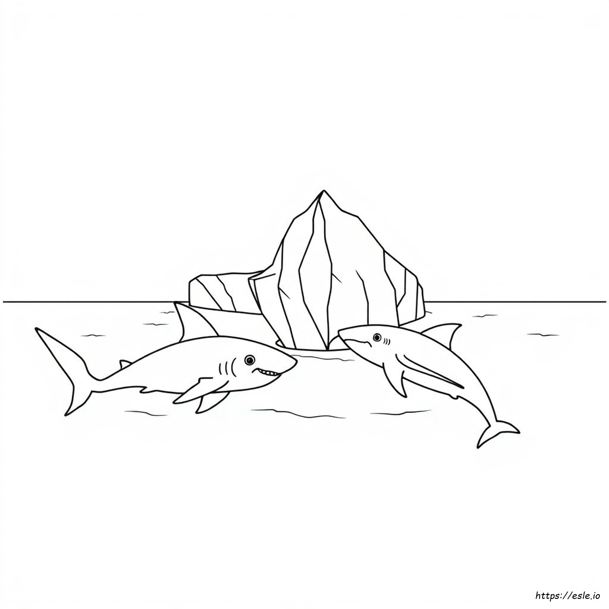 Ocean Mammals Coloring Pages