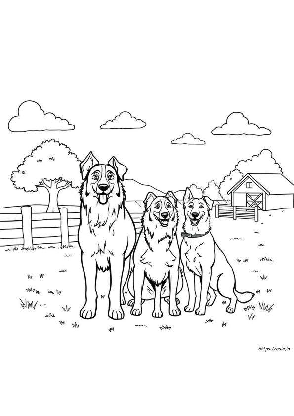 Heeler Family Coloring Page