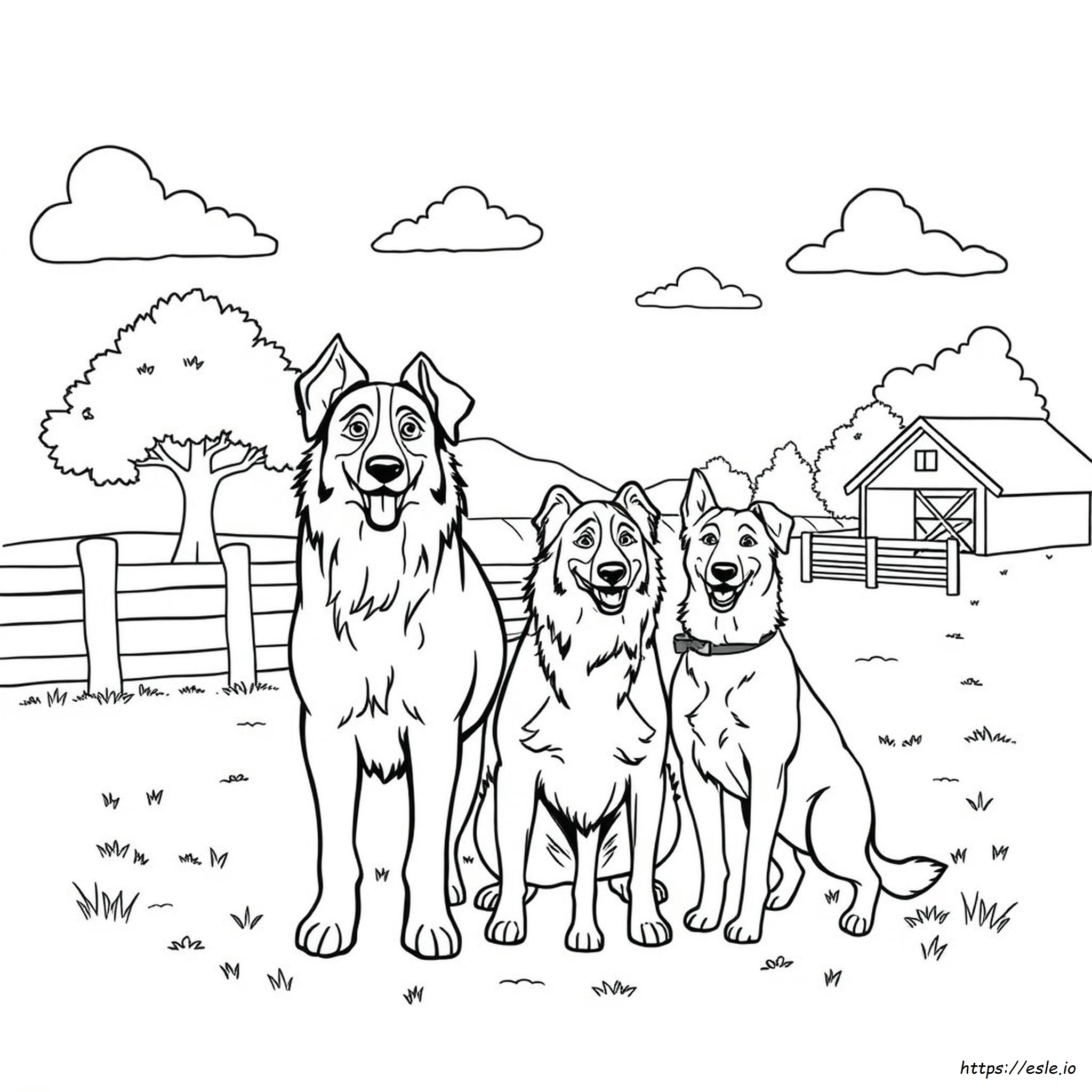 Heeler Family Coloring Page