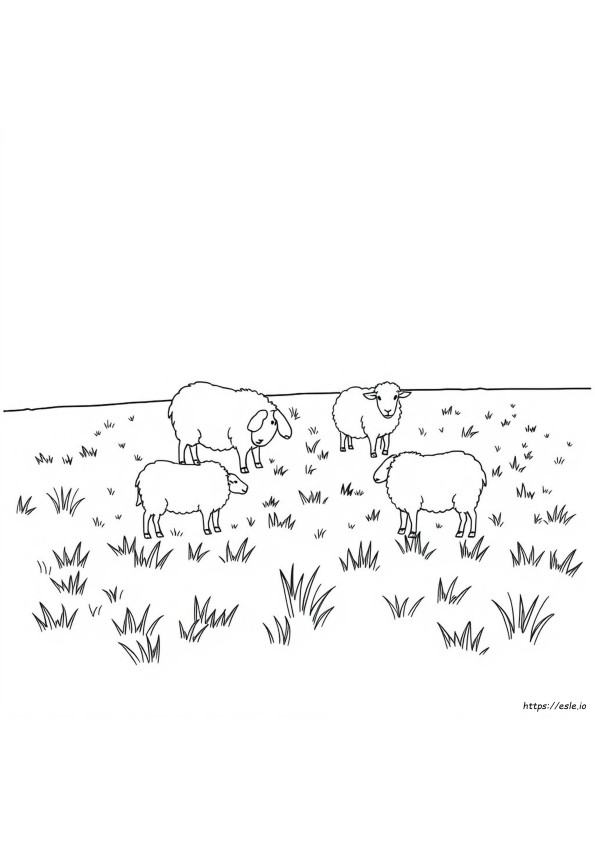 Schaap Kleurplaat