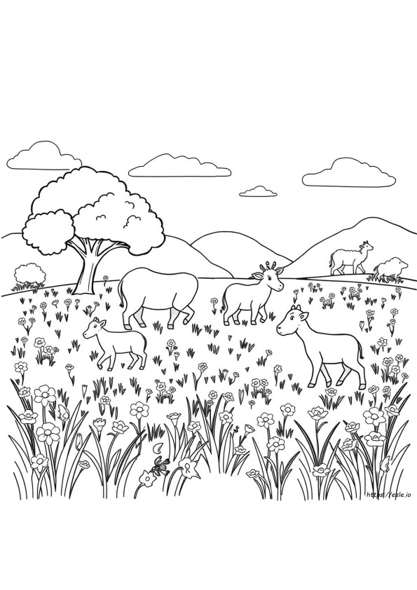 Desene Gratuite De Colorat Cu Animale Sălbatice