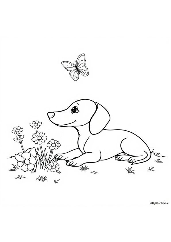 Dachshund Kleurboek