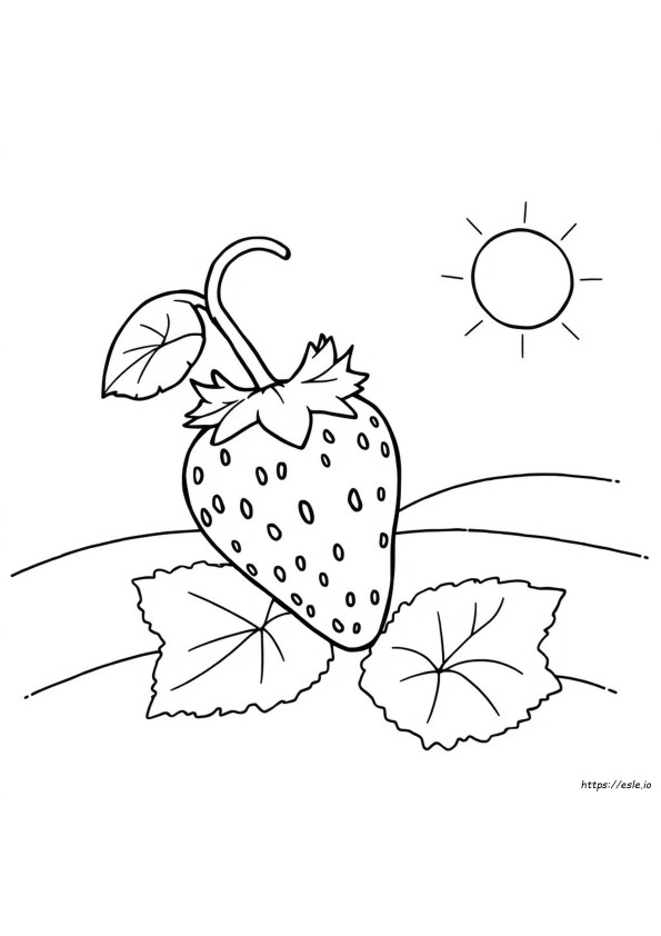 Coloring Page Of A Strawberry