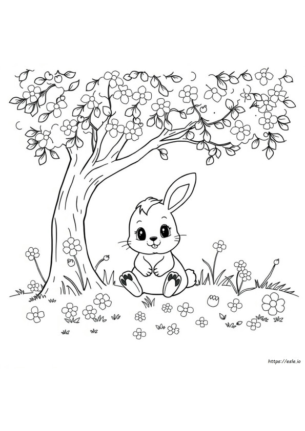 Dibujos Bonitos Para Colorear