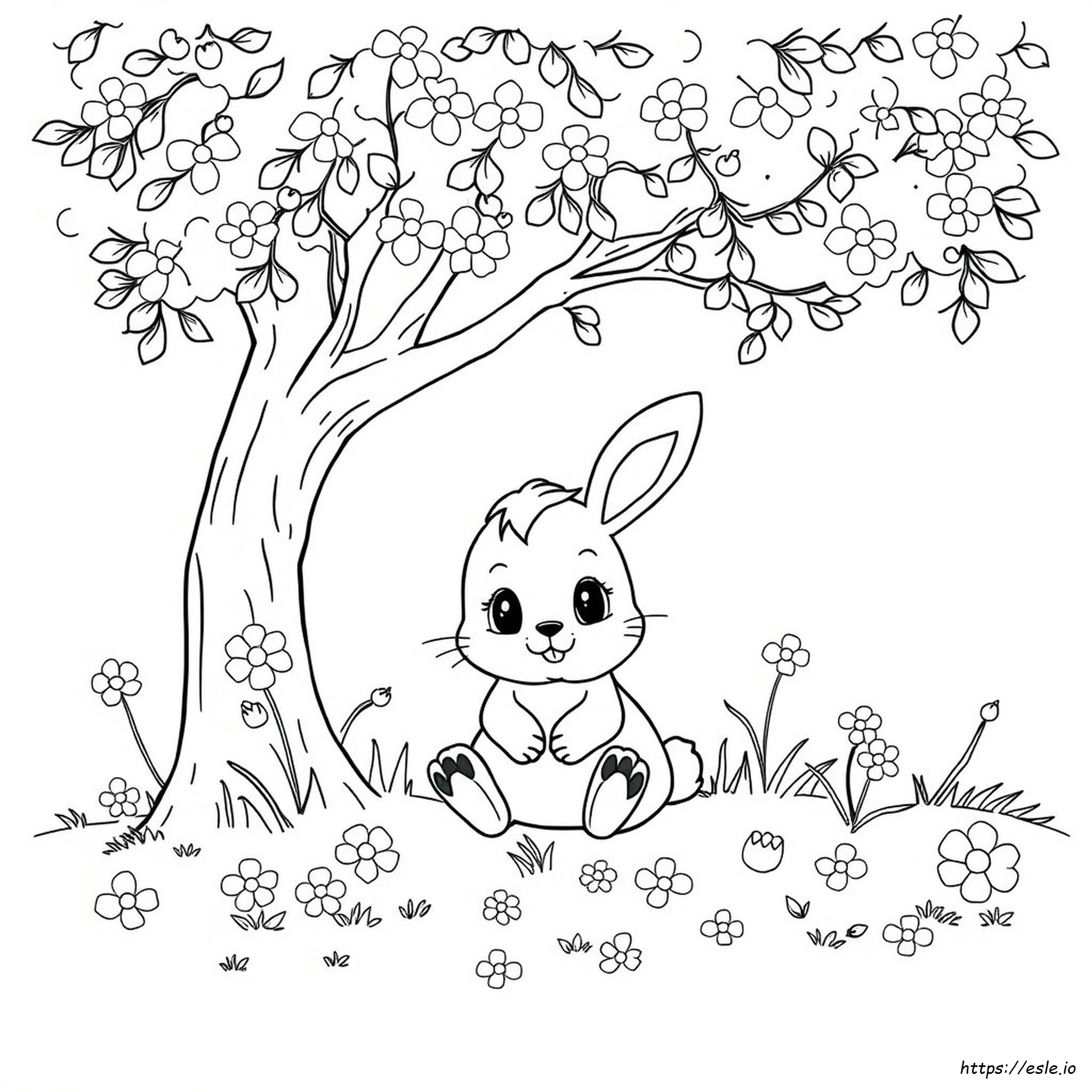 Colouring Pictures Cute