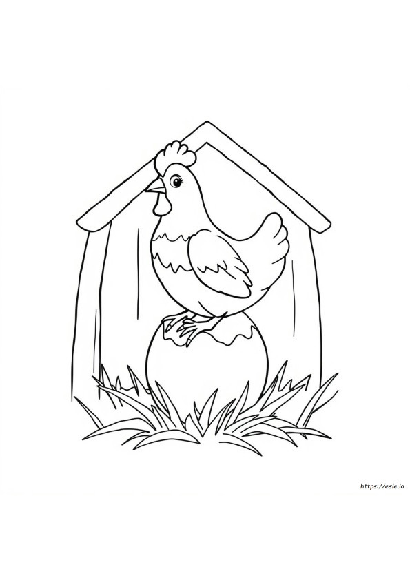 Ovo De Galinha Para Colorir