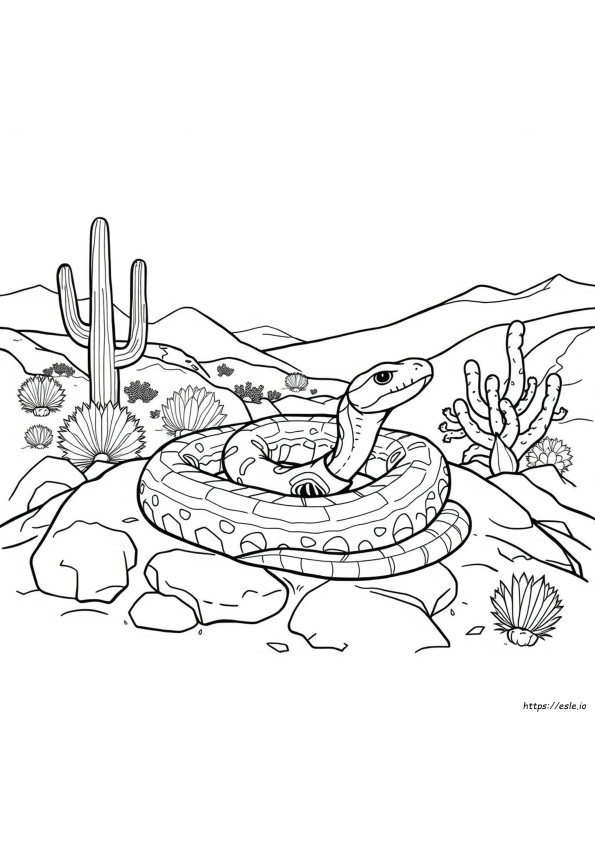 Diamondbacks Coloring Pages