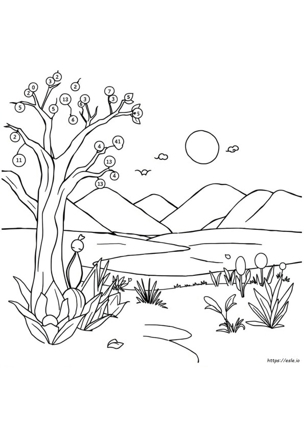 Colouring Books By Numbers For Adults