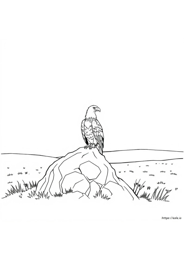 ハクトウワシ ぬりえ