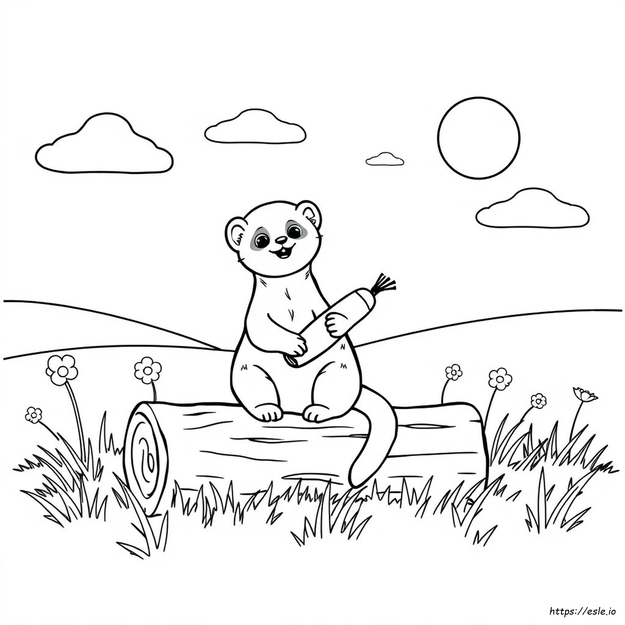 Ferret Coloring Page