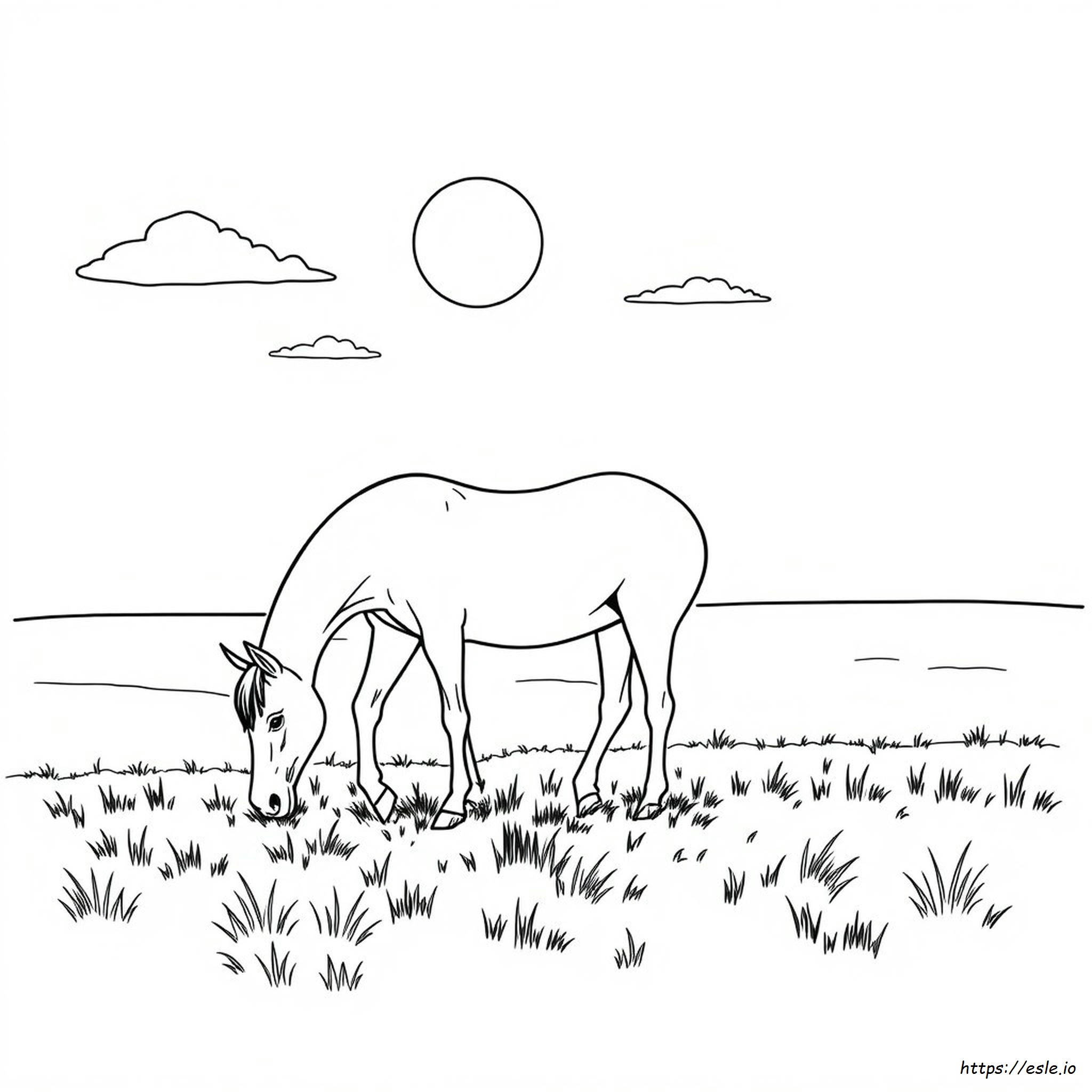 Free Printable Coloring Pages Of Realistic Horses