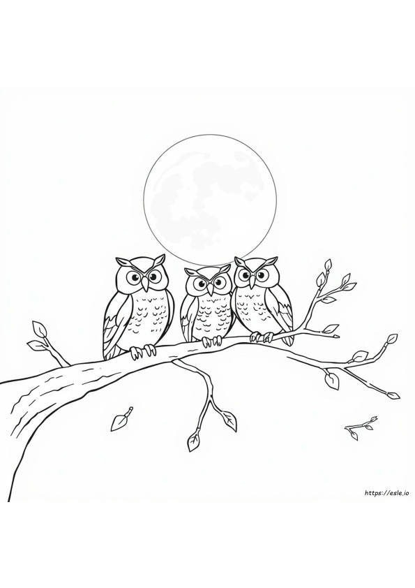 Owl Colouring In Page