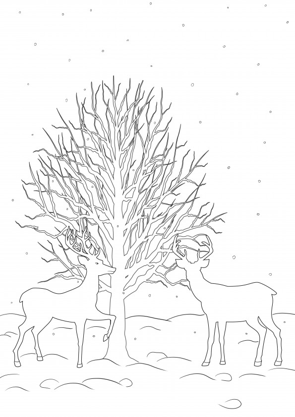 Renas andando ao redor de uma árvore no inverno para imprimir gratuitamente para colorir