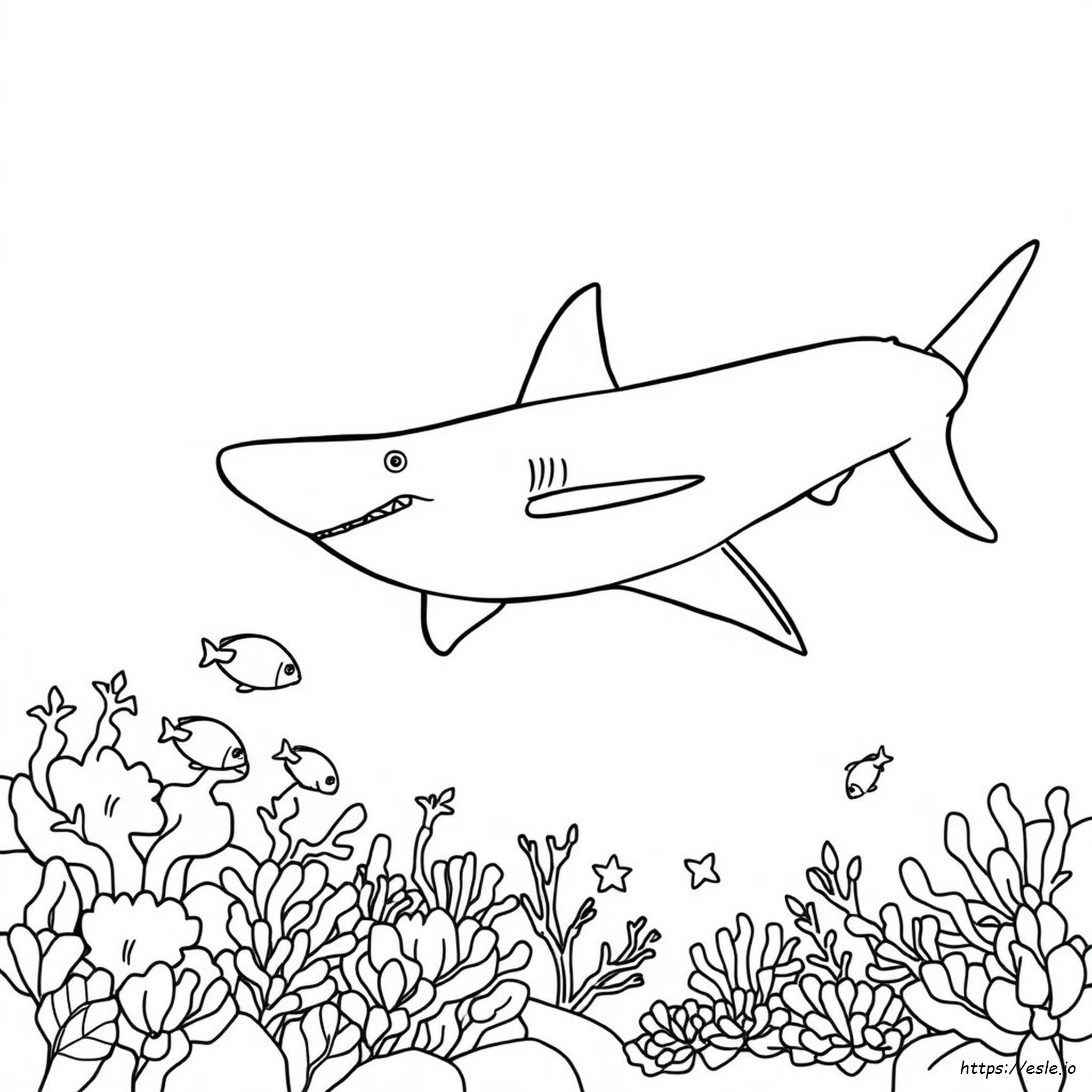 Hammer Head Shark Coloring Pages