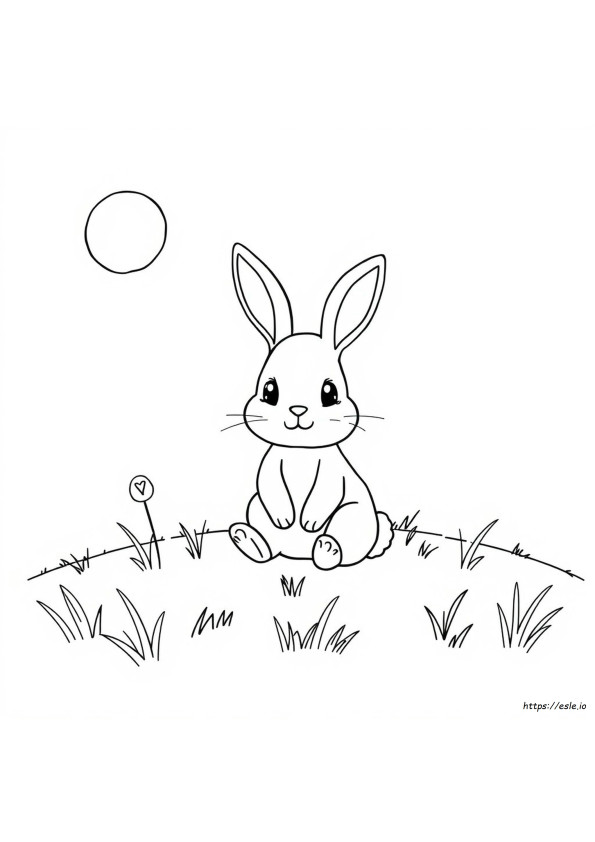 Animais Do Livro De Colorir Fáceis