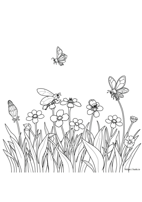 Gratis Printbare Kleurplaten Van Insecten