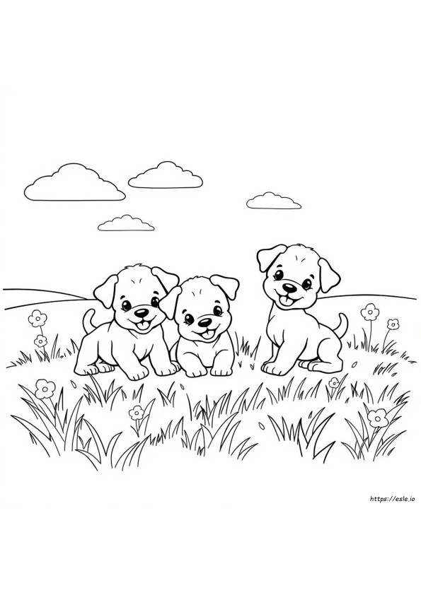 Cute Puppy Colouring