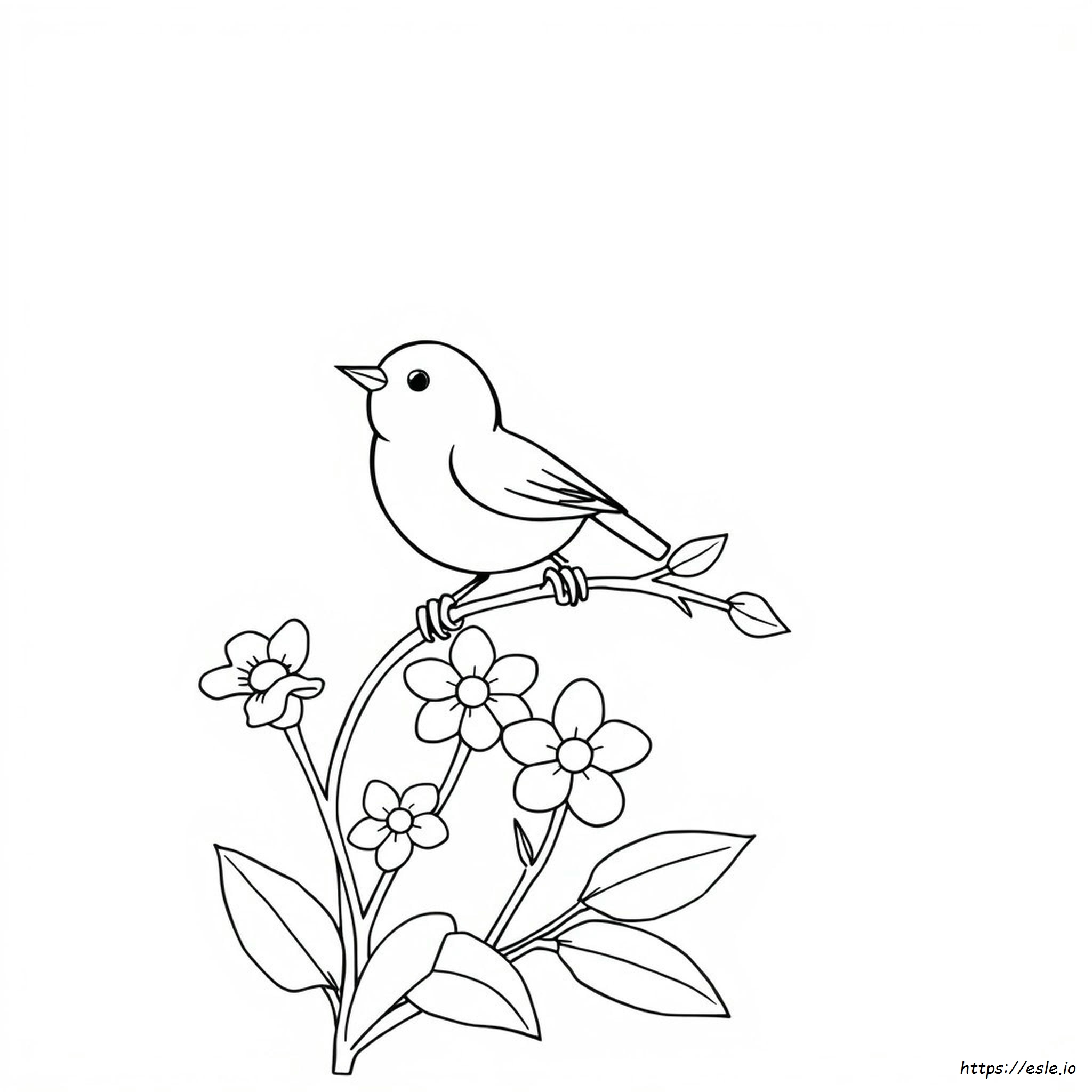 Bird Colouring In Printable