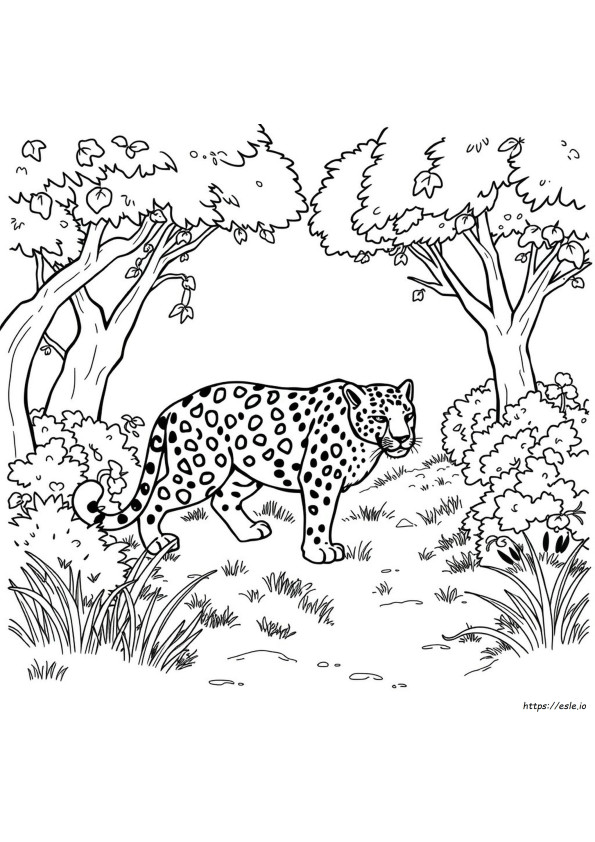 Jaguar Ausmalbild