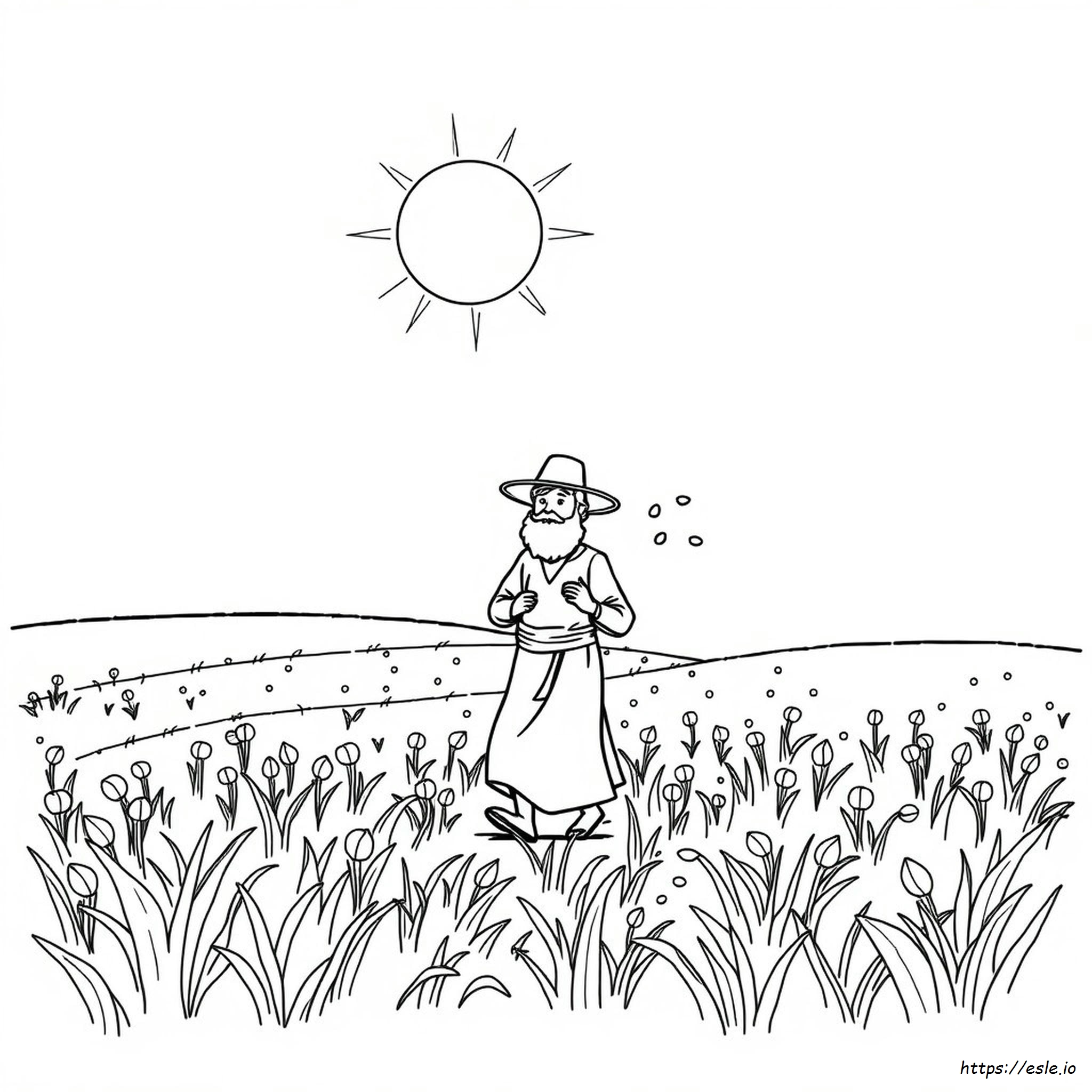 The Sower Coloring Page