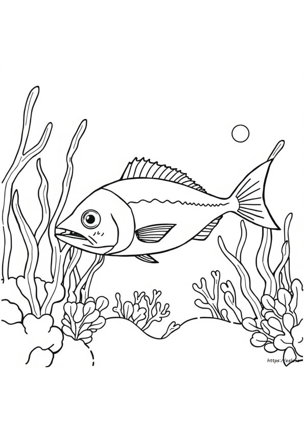 Sardine Da Colorare