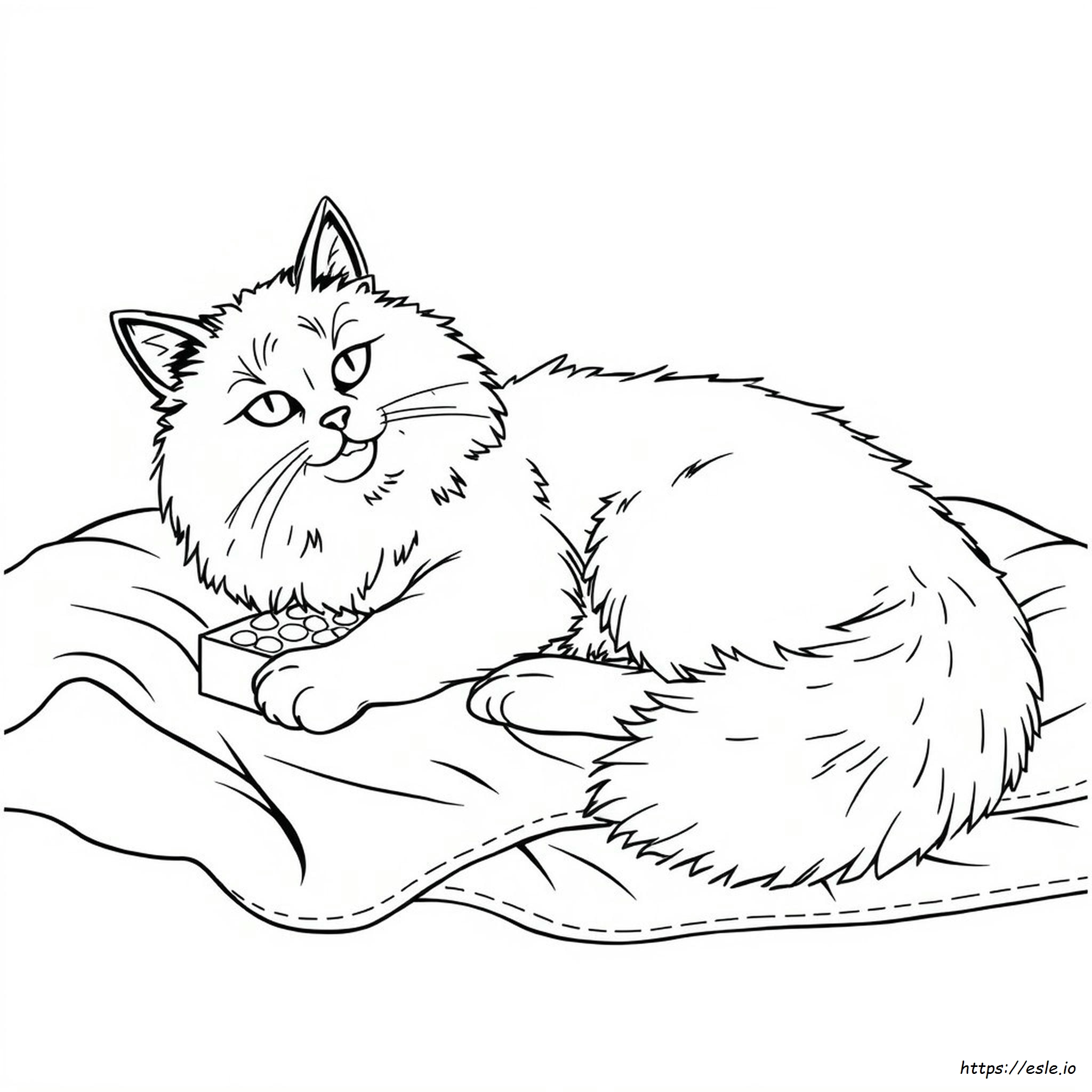 Warna Ragdoll Terlangka