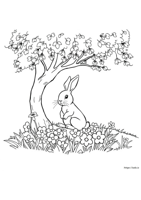 Coloring Pages Of Rabbit