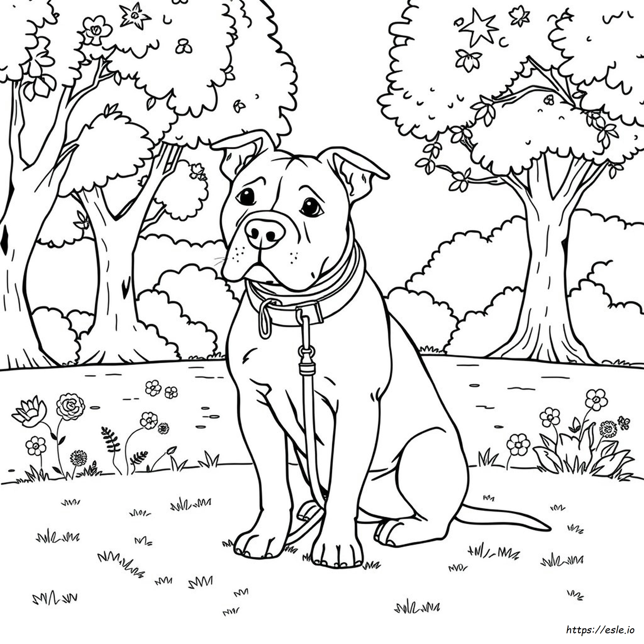 Coloring Pages Of Pitbull Dogs