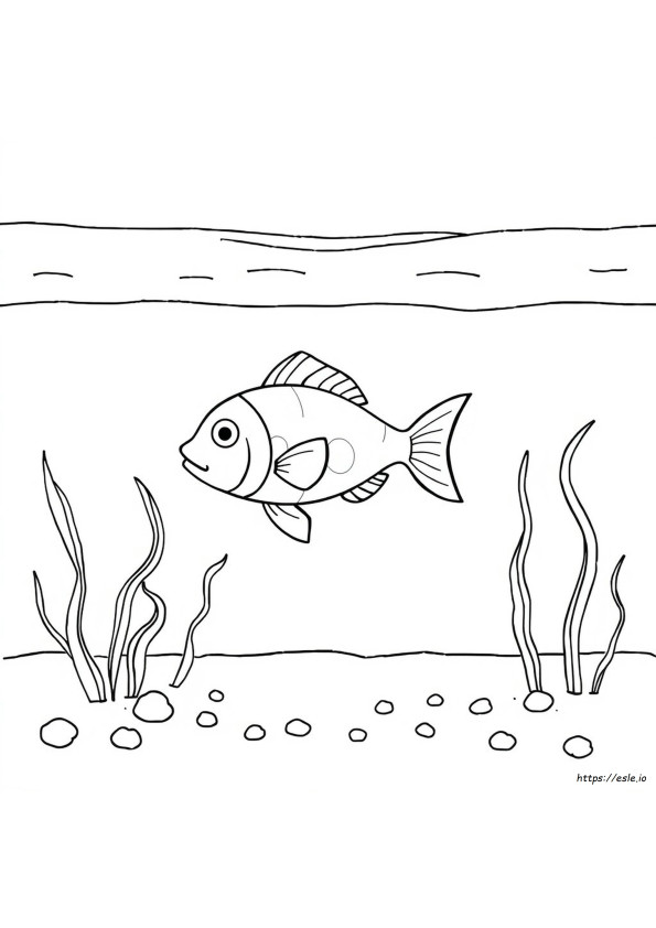 Water Coloring Pages For Preschool