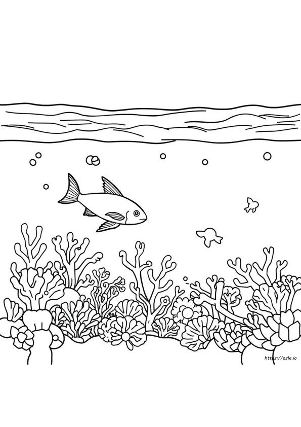 Sea Animals Coloring Pages Pdf