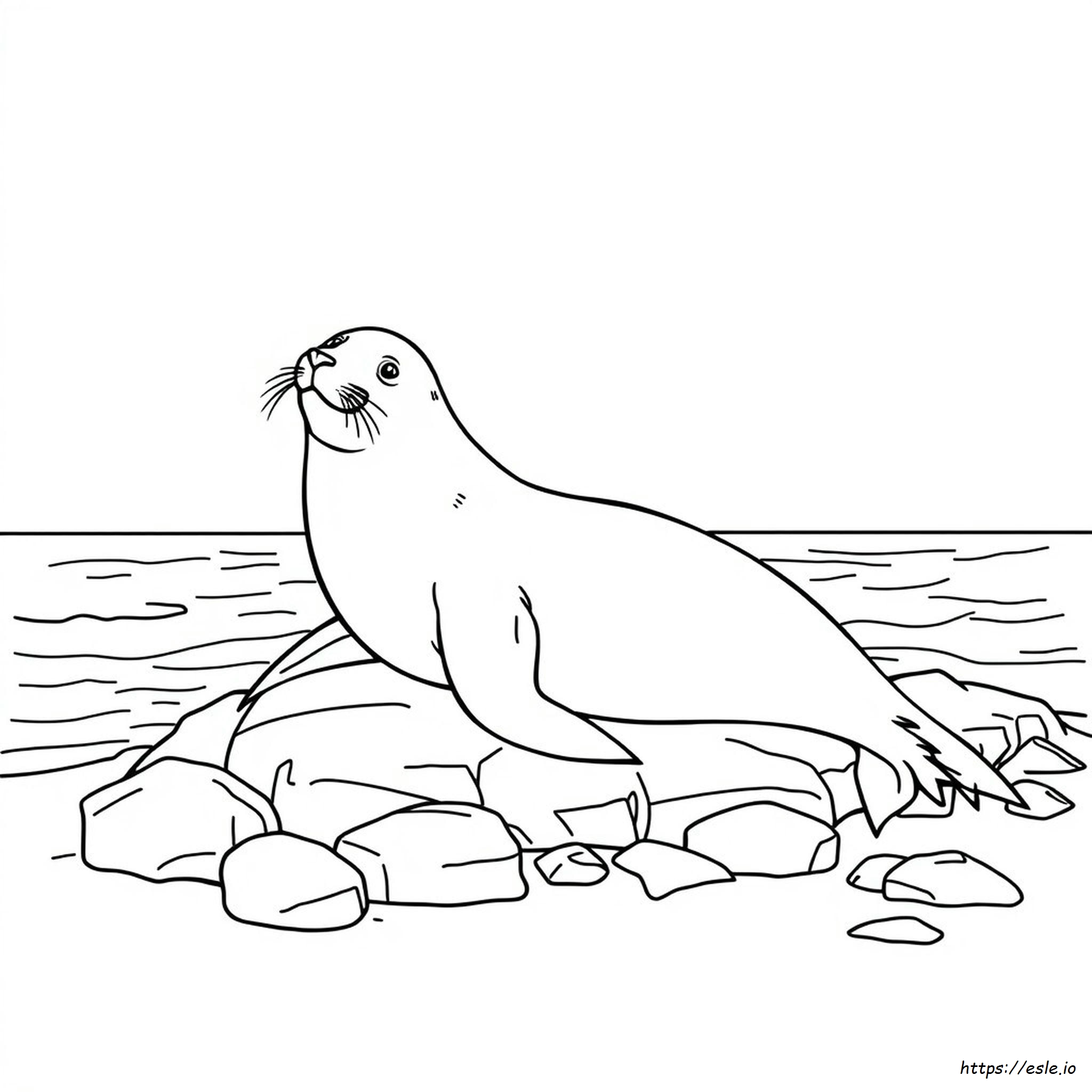 Sea Lion Coloring Pages
