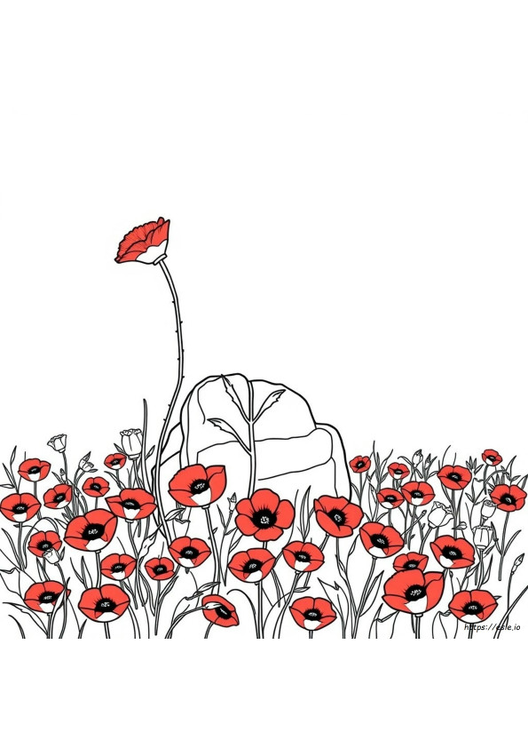 Quelles Sont Les Couleurs Des Fleurs De L'armistice À Colorier?