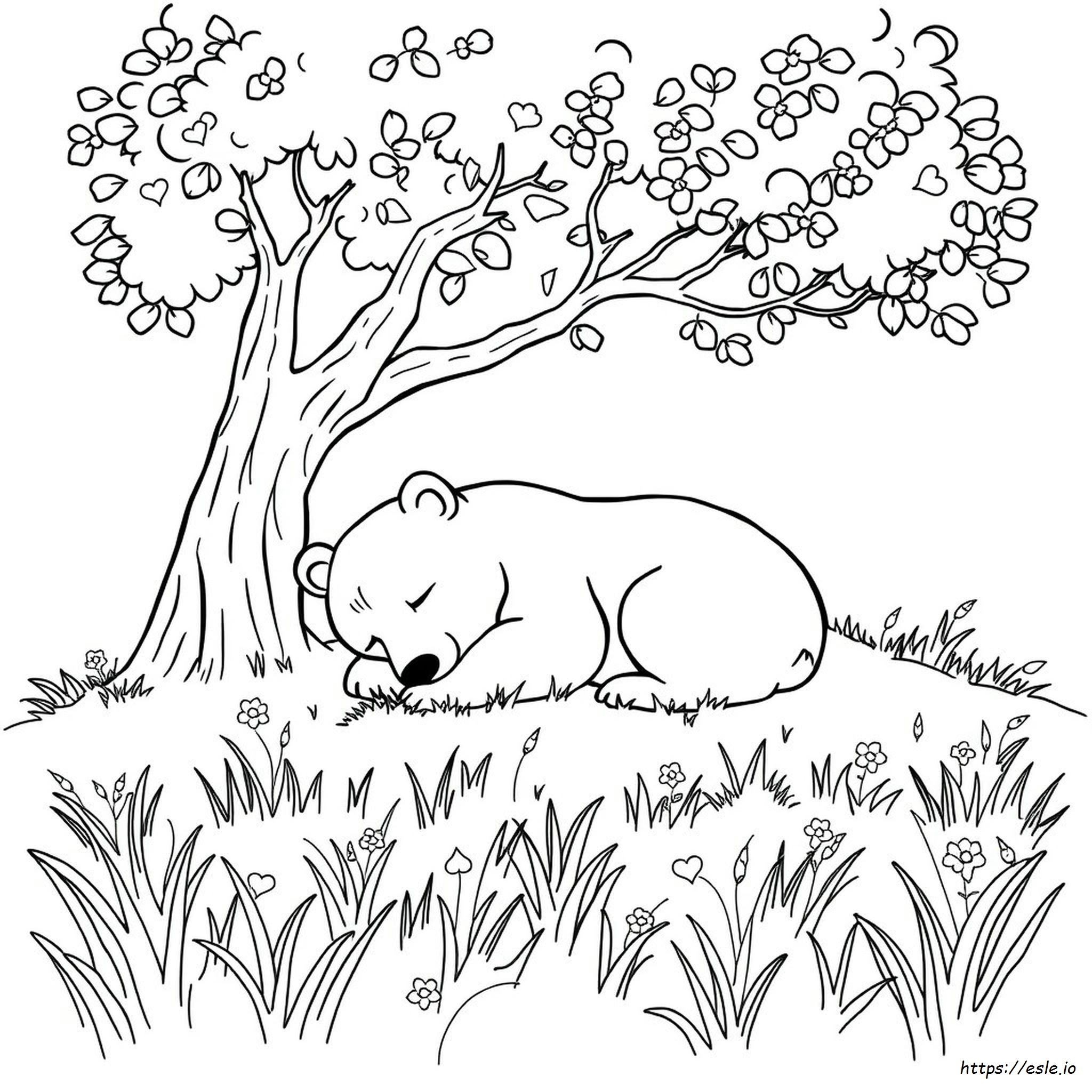 Orso Che Dorme Da Colorare