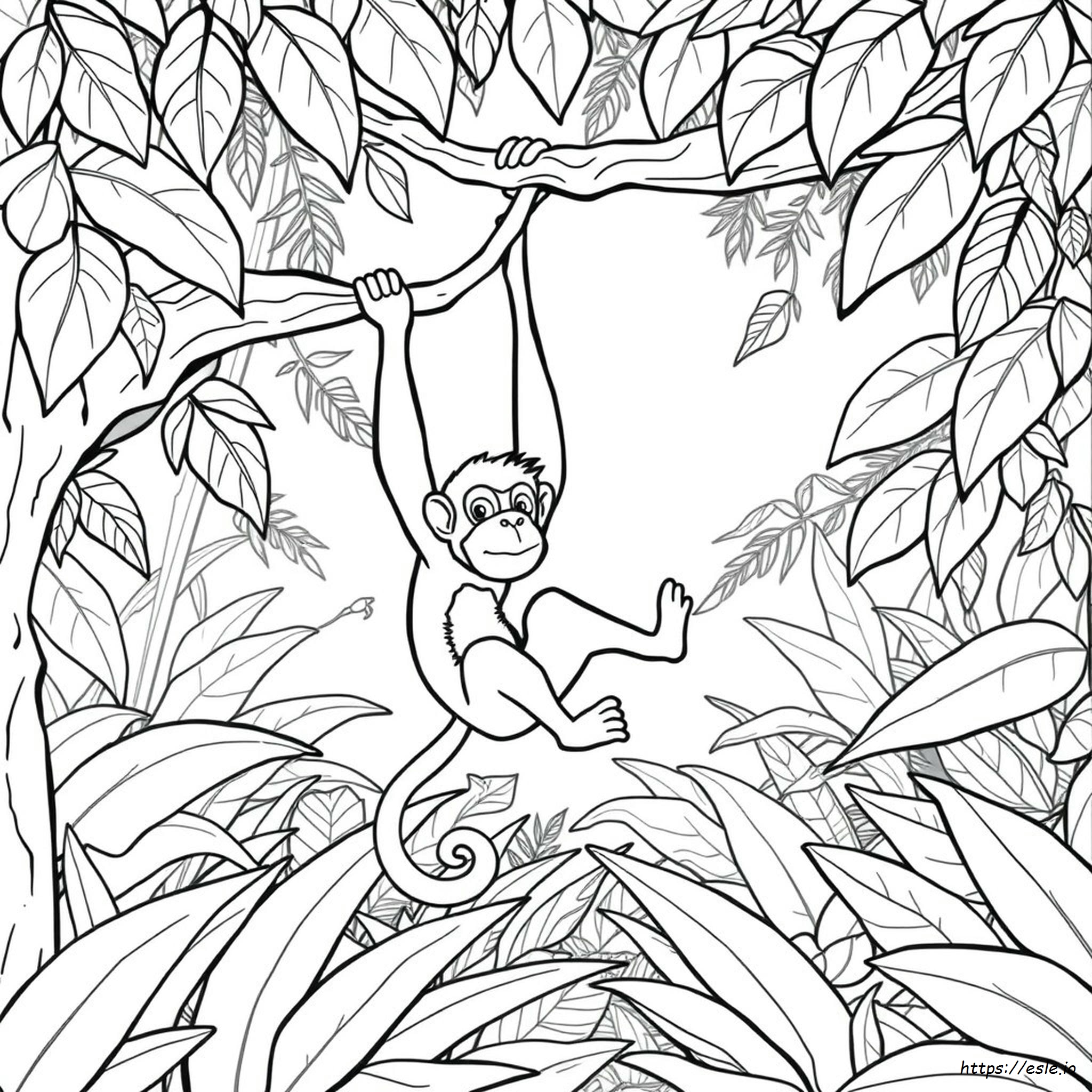 Disegni Da Colorare Di Scimmie Da Stampare Gratis