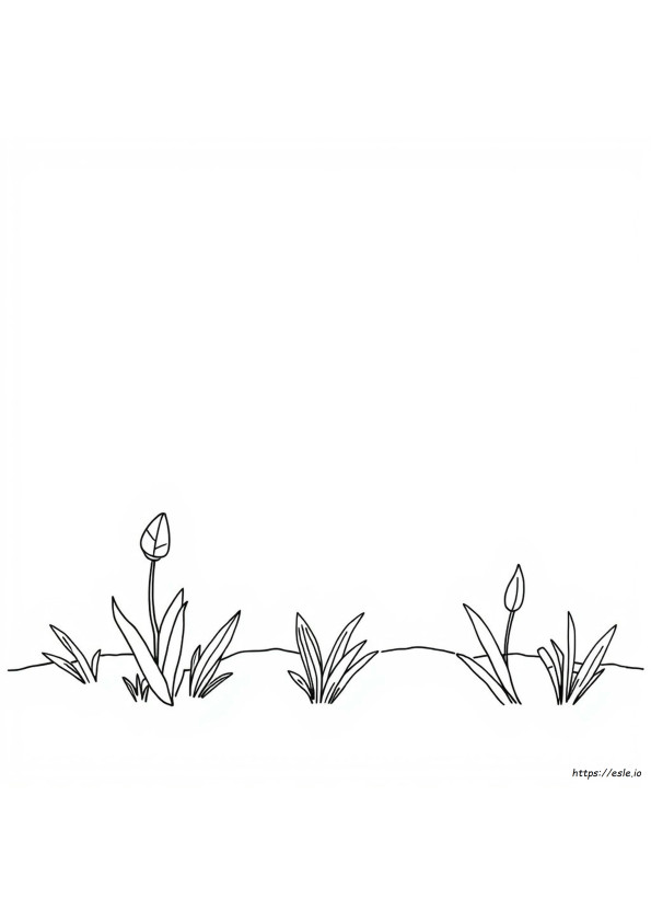Egyszerű Zentangle Minták Színező Oldal