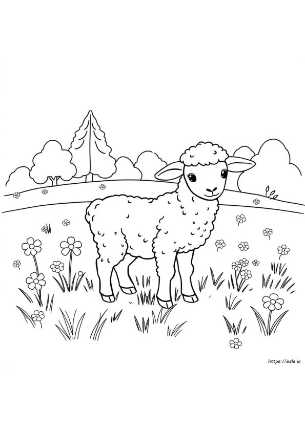 Free Coloring Pages Lamb