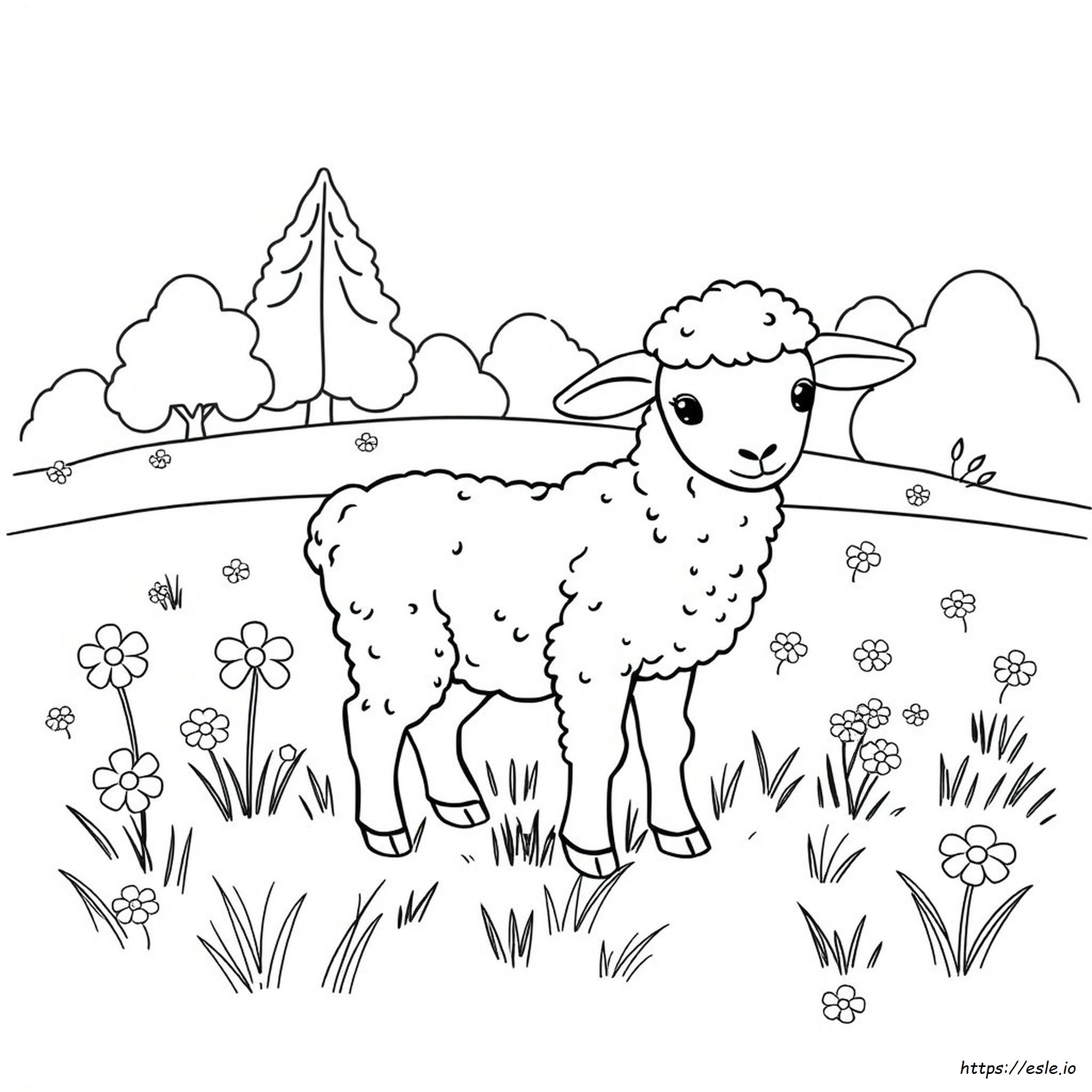 Free Coloring Pages Lamb