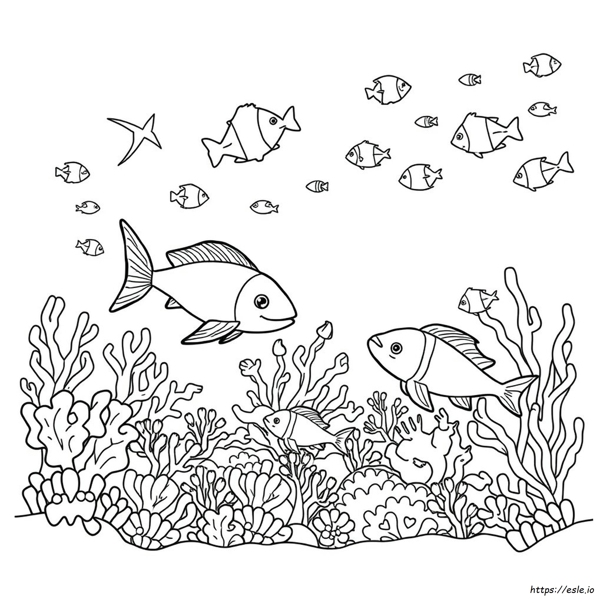 Animales Marinos Para Colorear