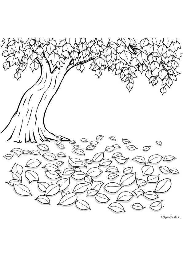 Foglie Da Colorare E Stampare