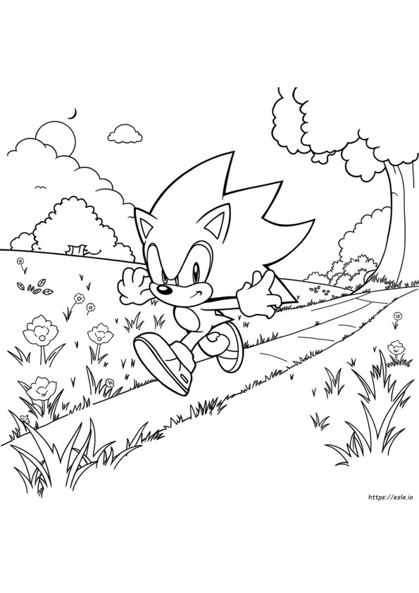Sonic The Hedgehog Da Colorare E Stampare