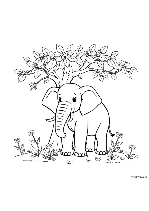 How To Colour Elephant Picture